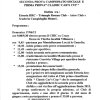 programma disfida